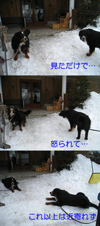 130305.jpg