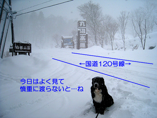 7705.jpg