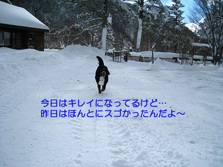 7730.jpg