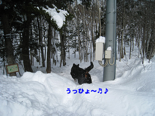 7764.jpg