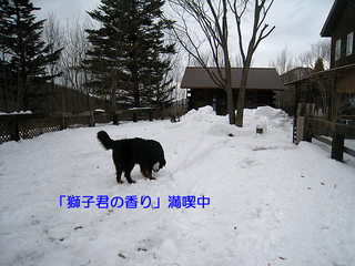 7843.jpg