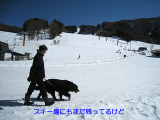 9158.jpg